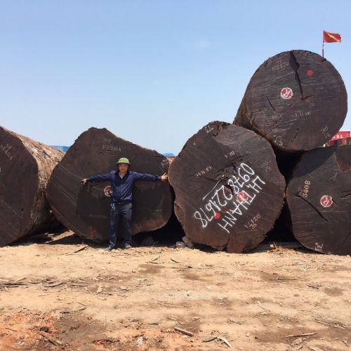 Phản, Giường Gỗ Lâm Sâm LS249