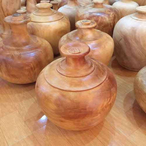 Lộc bình Lâm Sâm LS541