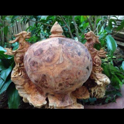 Lộc bình Lâm Sâm LS547