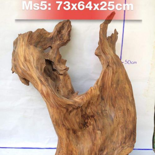 Tượng Gỗ Phong Thủy Lâm Sâm LS553