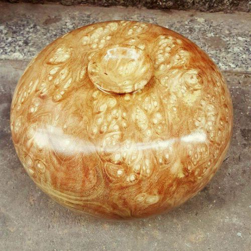 Lộc bình Lâm Sâm LS554