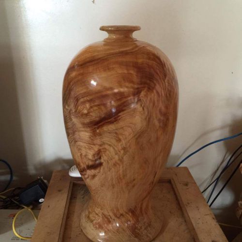 Lộc bình Lâm Sâm LS559