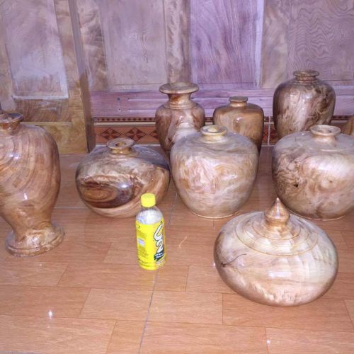 Lộc bình Lâm Sâm LS571