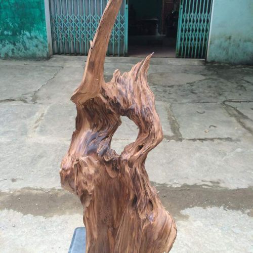 Tượng Gỗ Phong Thủy Lâm Sâm LS592