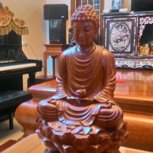 Tượng Gỗ Phong Thủy Lâm Sâm LS599